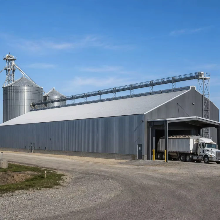 Steel Structure Bulk Storage Building